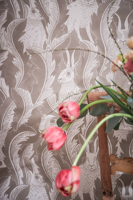 Hares in Hiding 03-52