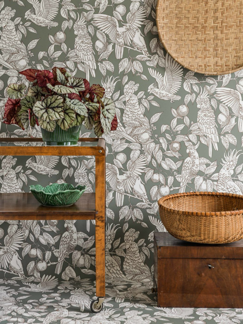 Talk about cockatoos 11-55