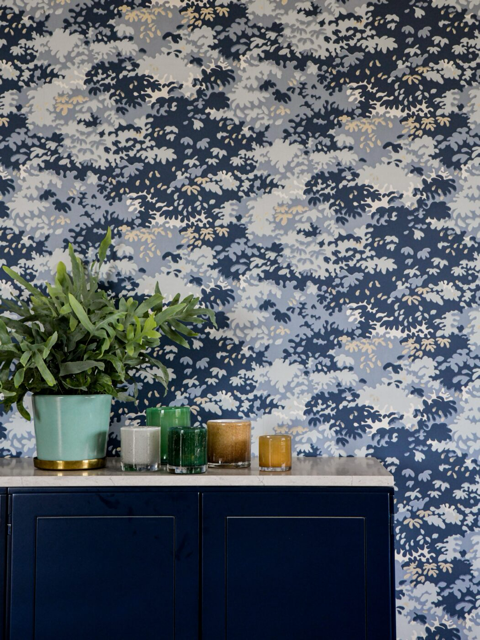 Into the woods 14-64