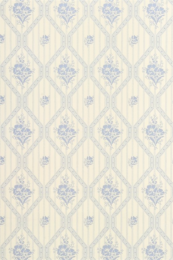 Blåklint 18-K11-41-C