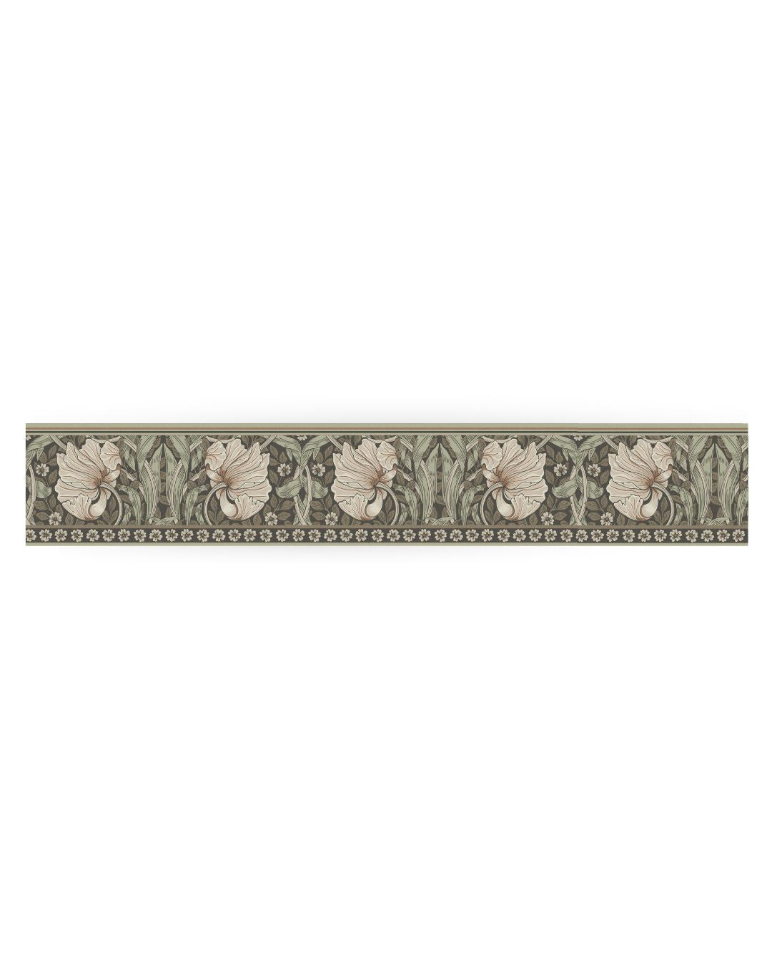 Pimpernel 182110