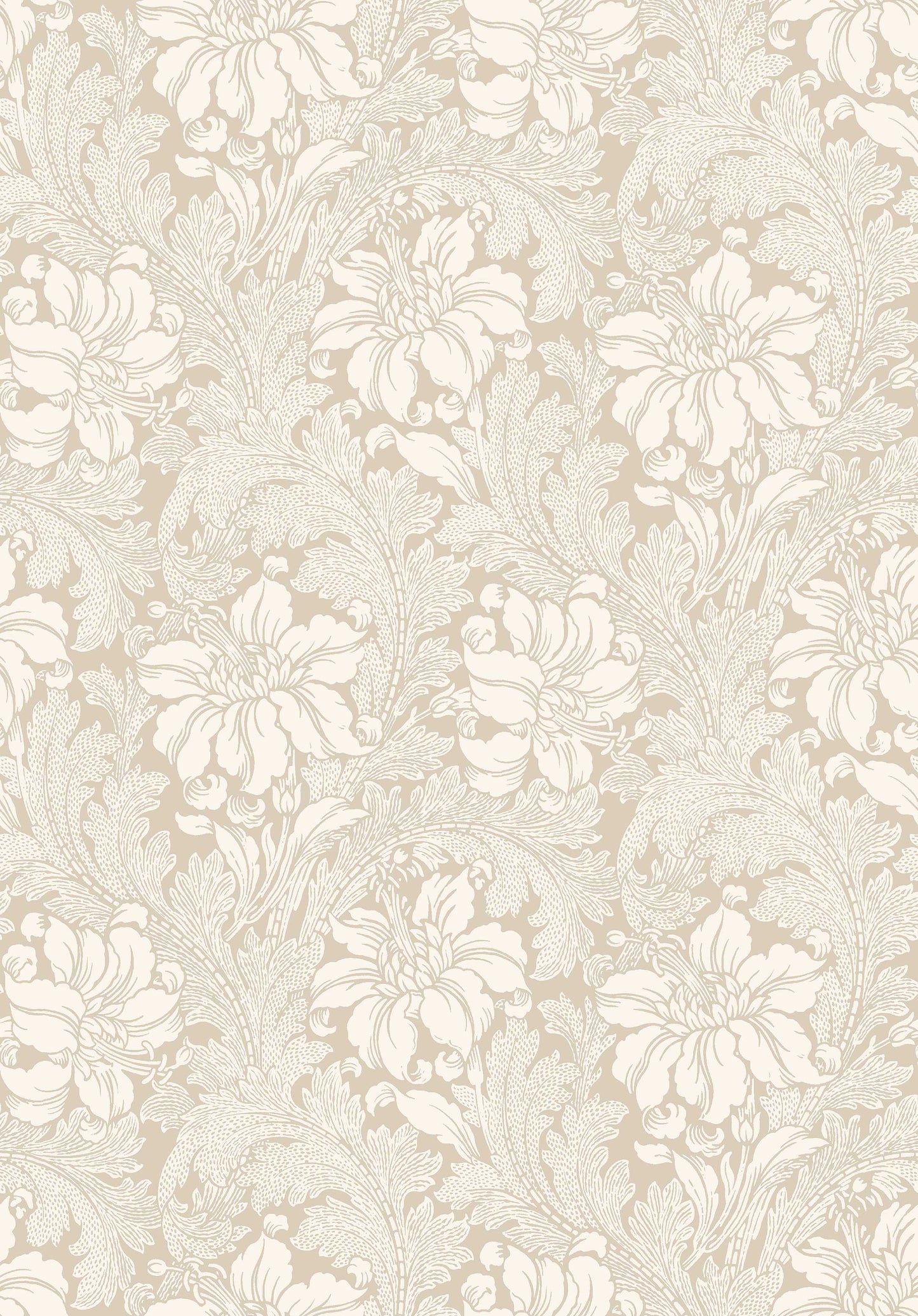 Acanthus 2011