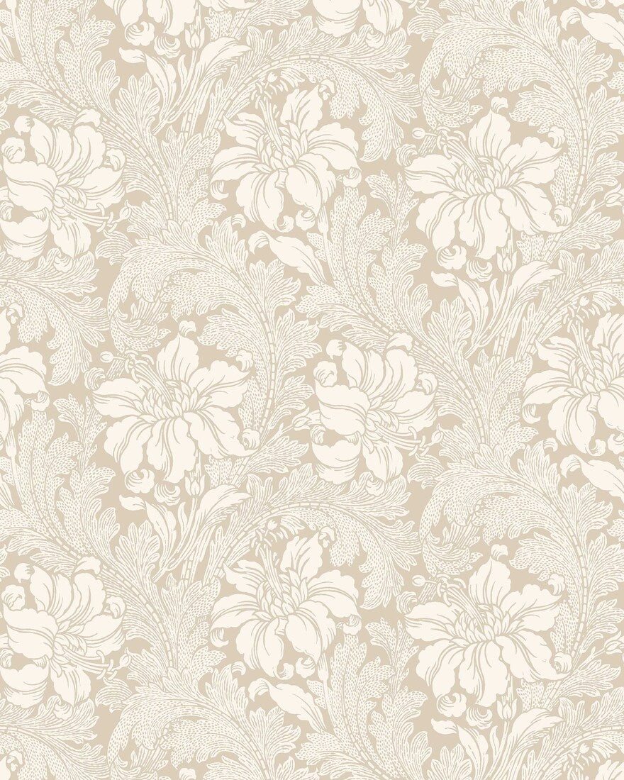 Acanthus 2011