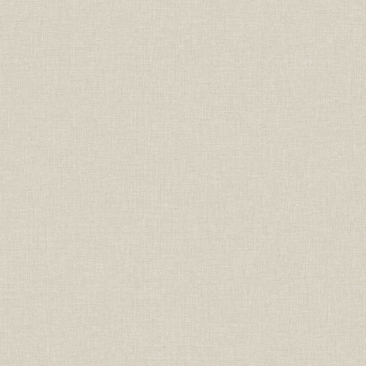 Canvas Oyster 6123