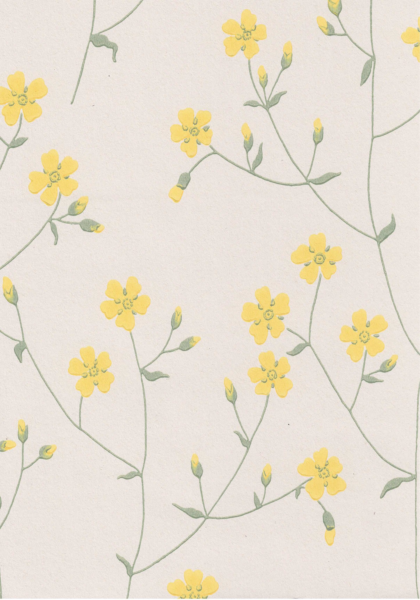 Ritva Kronlund: Niittyleinikki 69200