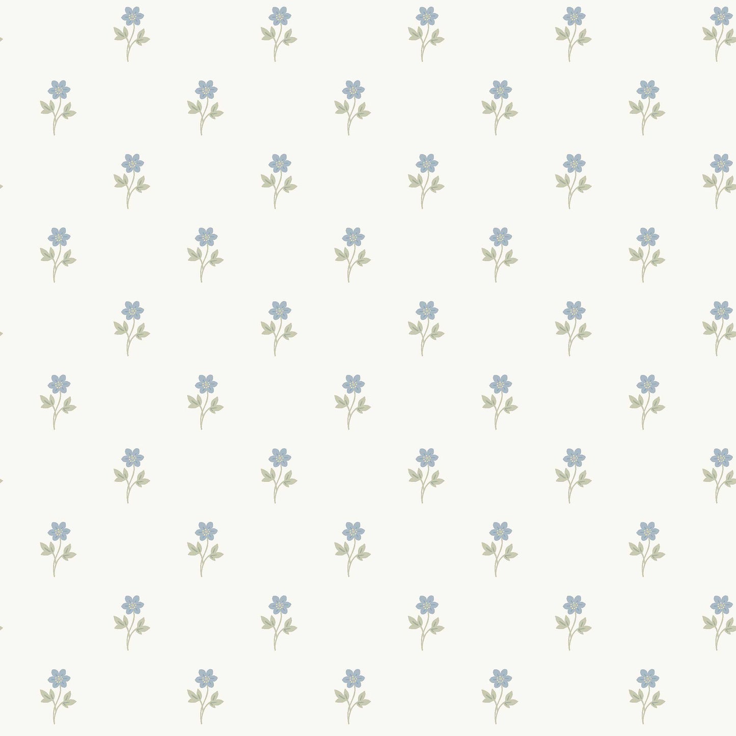 Anemone 6974