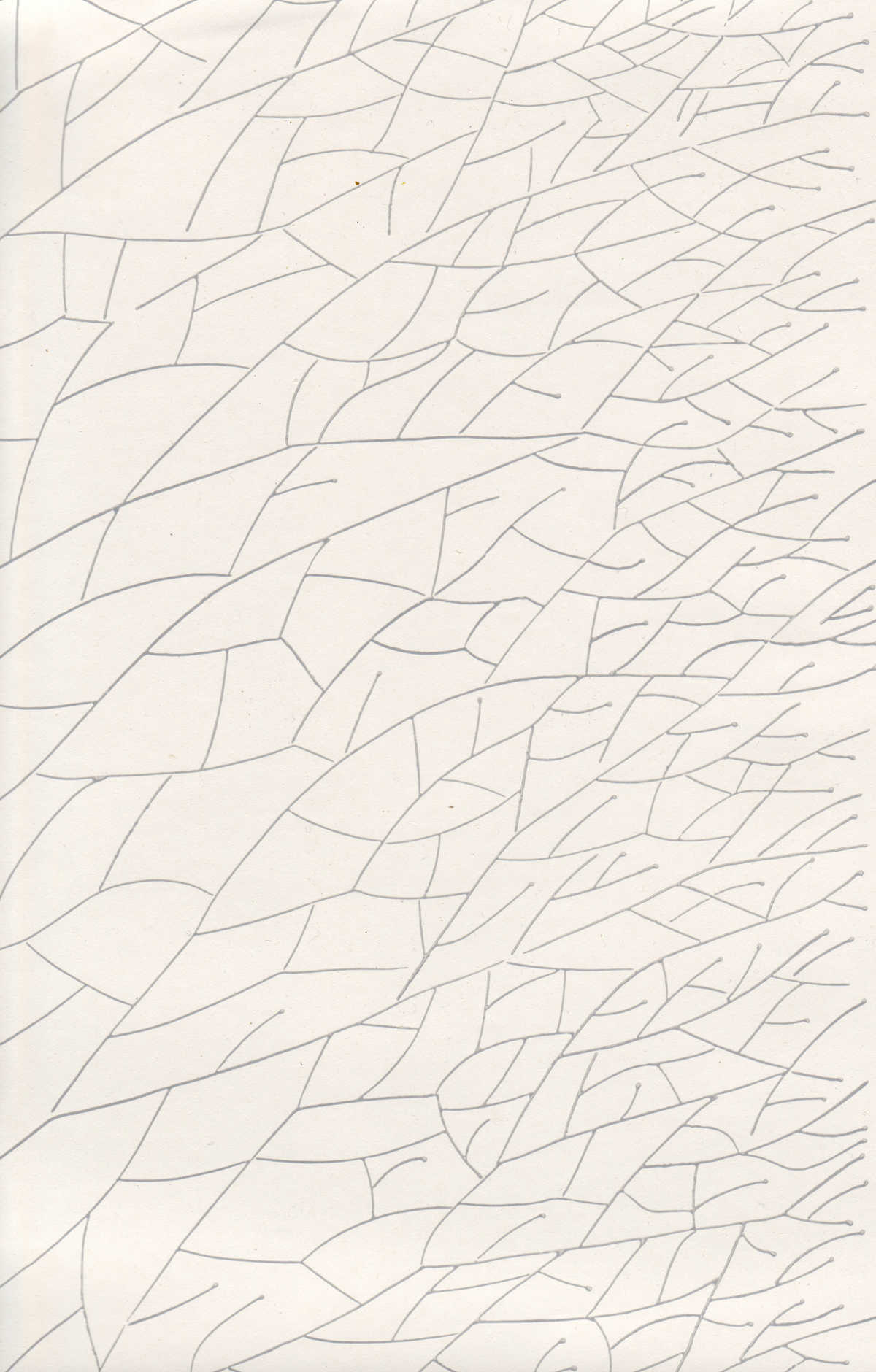Erik Bruun: Linneus 69772