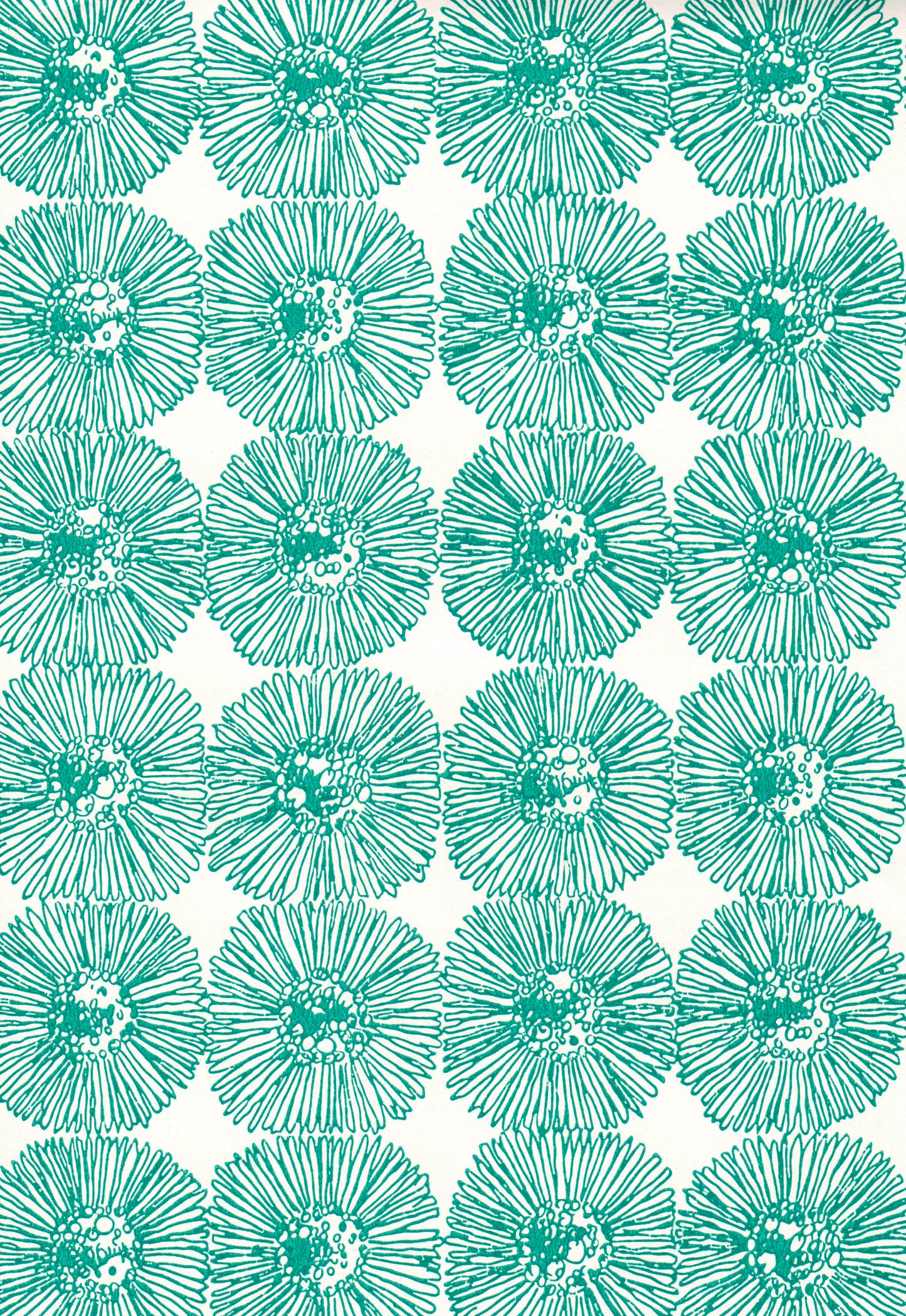 Hahtuva (Ritva Kronlund) 70012