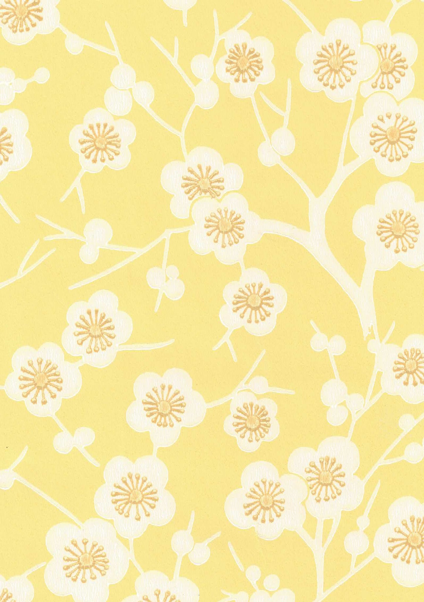 Kirsikkapuu (Ritva Kronlund) 70072