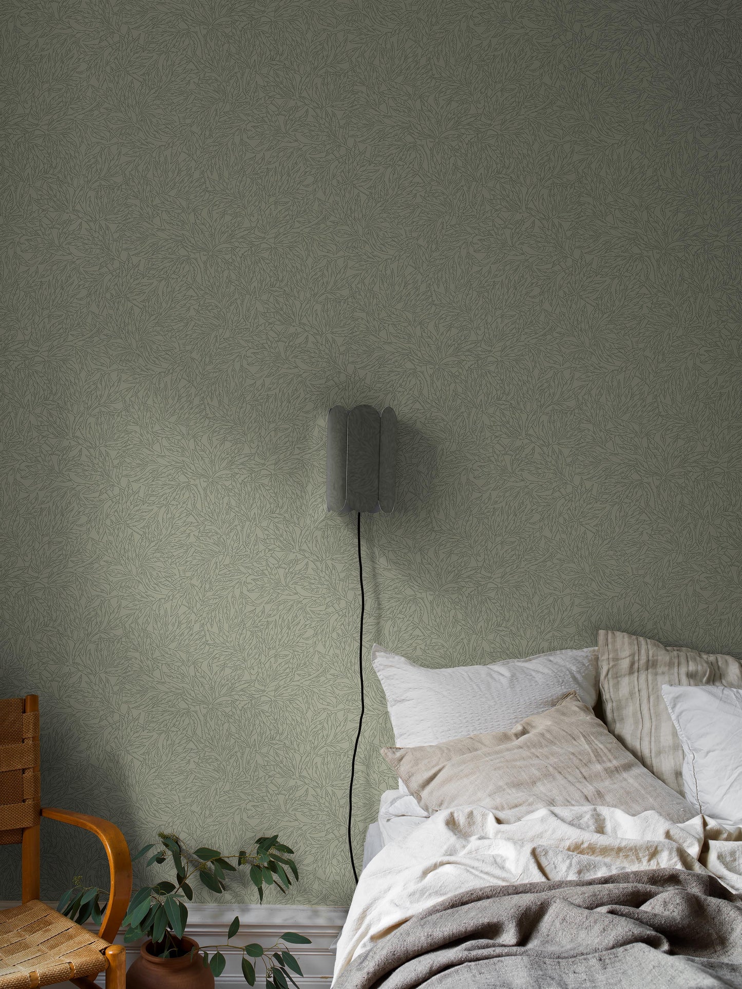 Salix Alba 7787