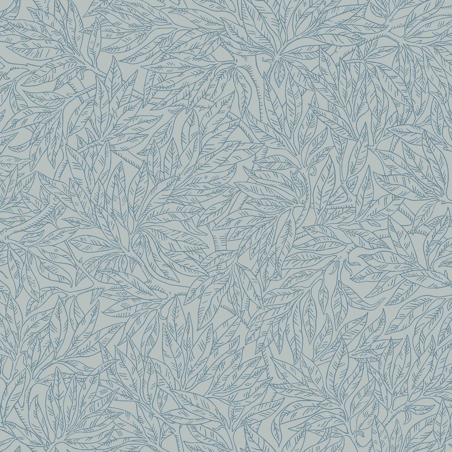Salix Alba 7788