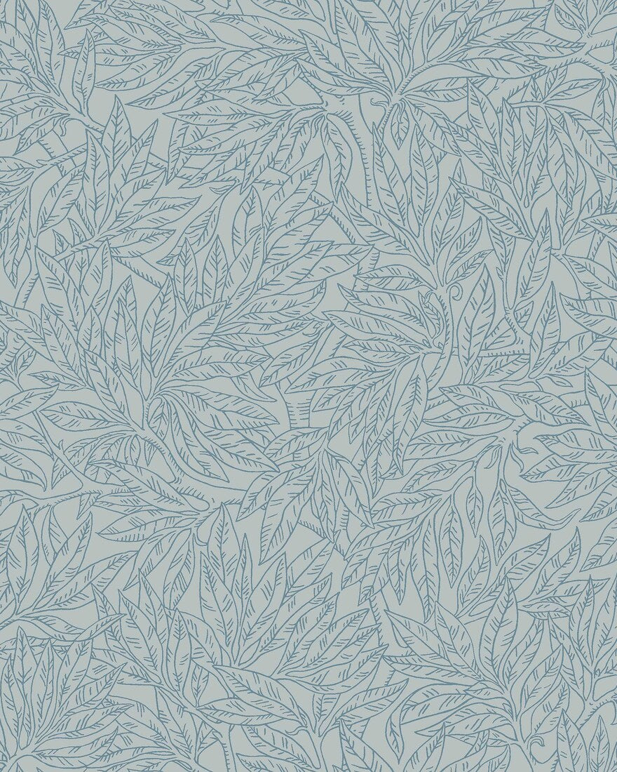 Salix Alba 7788