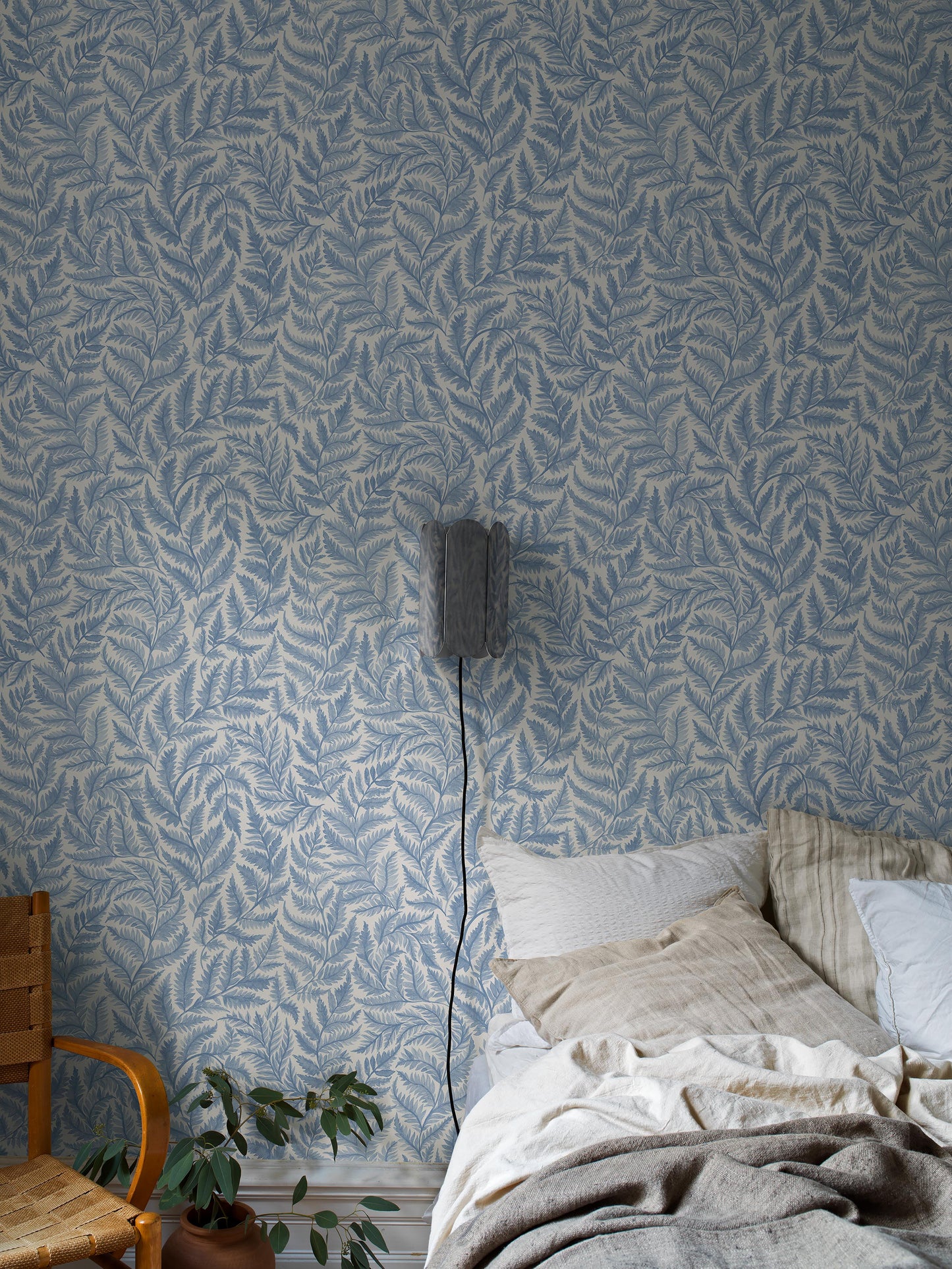 Ferns 7790