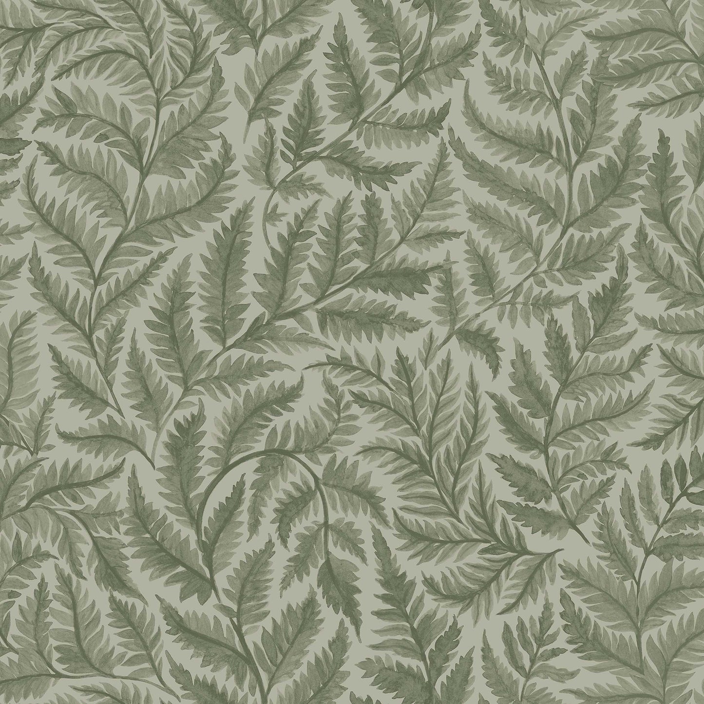 Ferns 7792