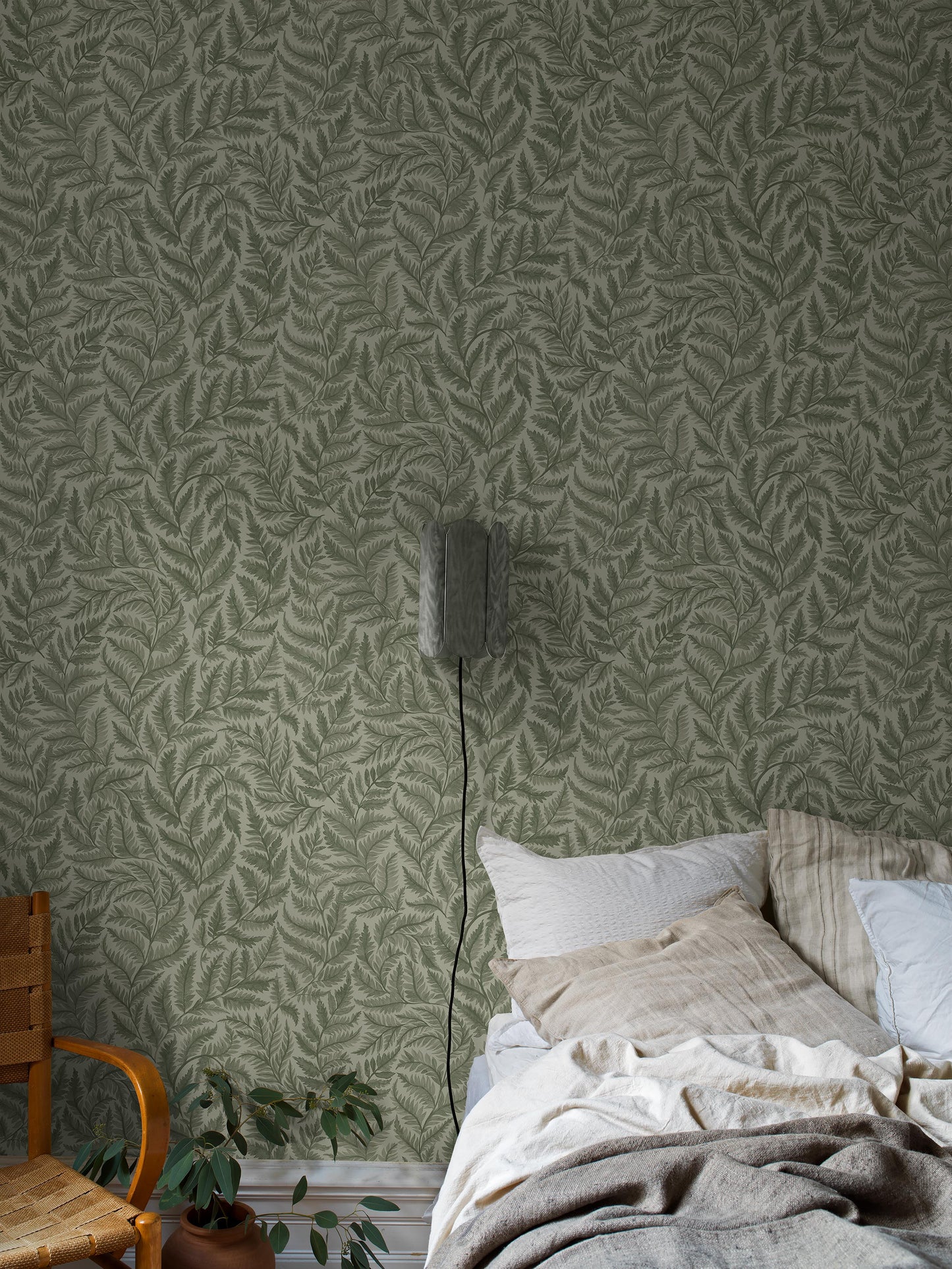 Ferns 7792