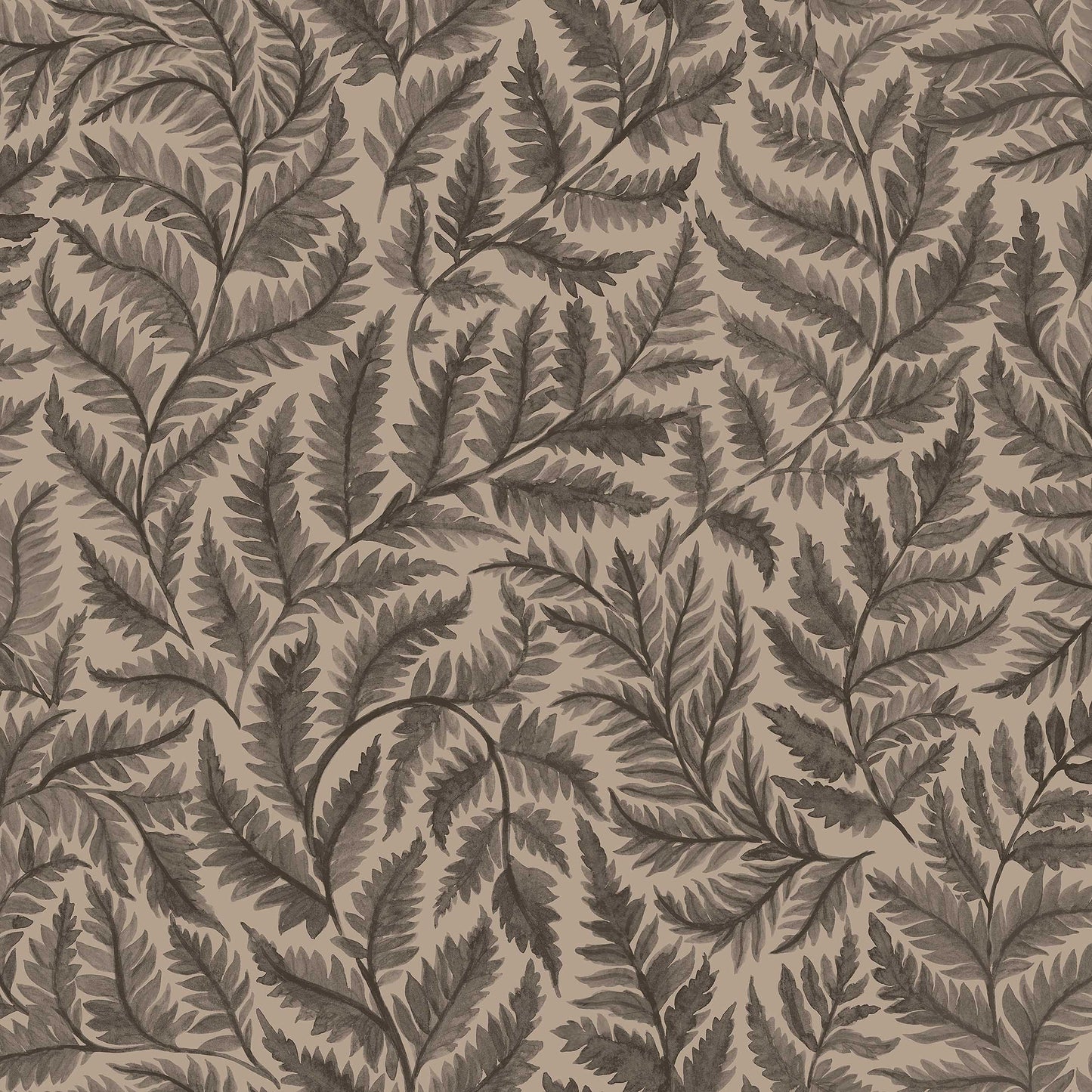 Ferns 7793