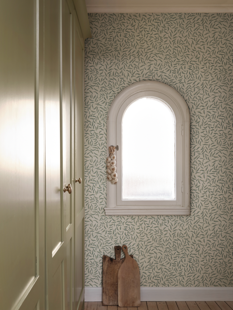 Karolina, Green 807-38