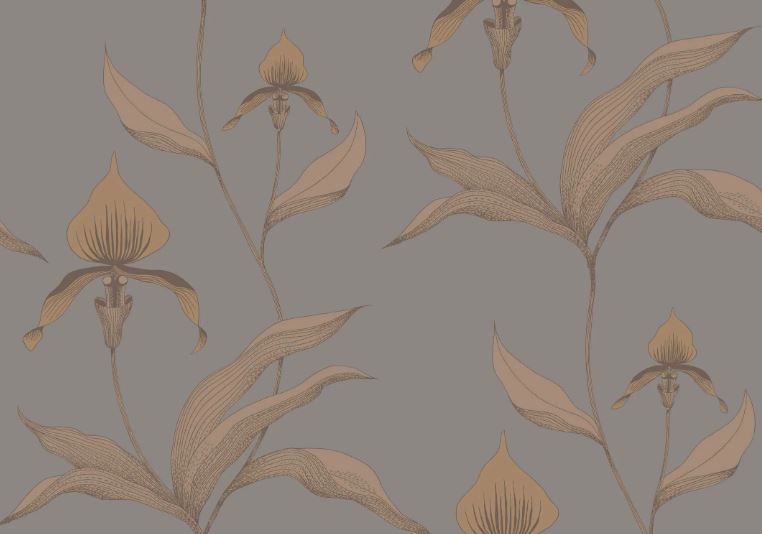 Orchid 95/10056
