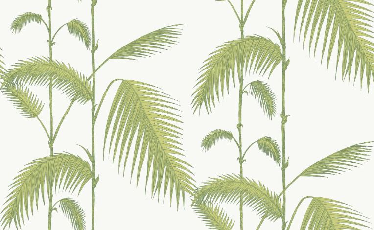 Palm 95/1009