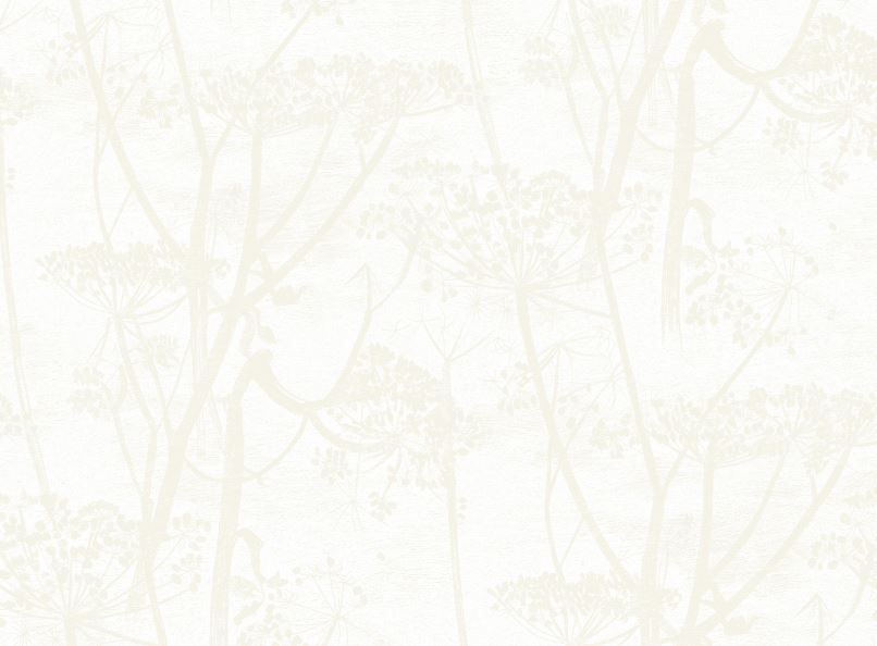 Cow Parsley 95/9052