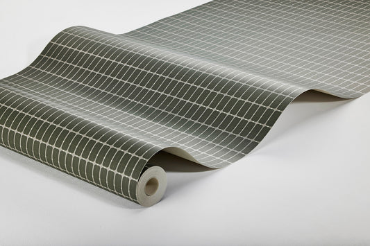 Alvar Aalto M.I.T 1970