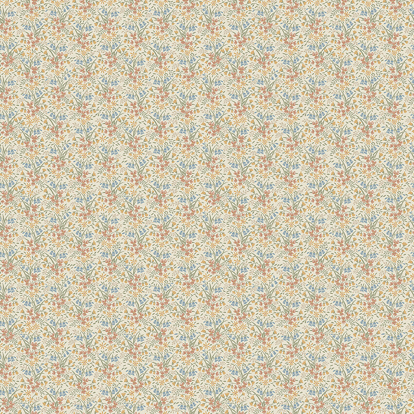Bella 4815