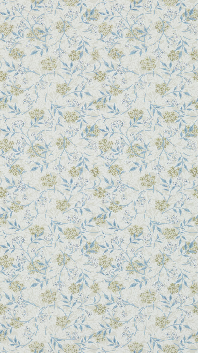 Jasmine 216808