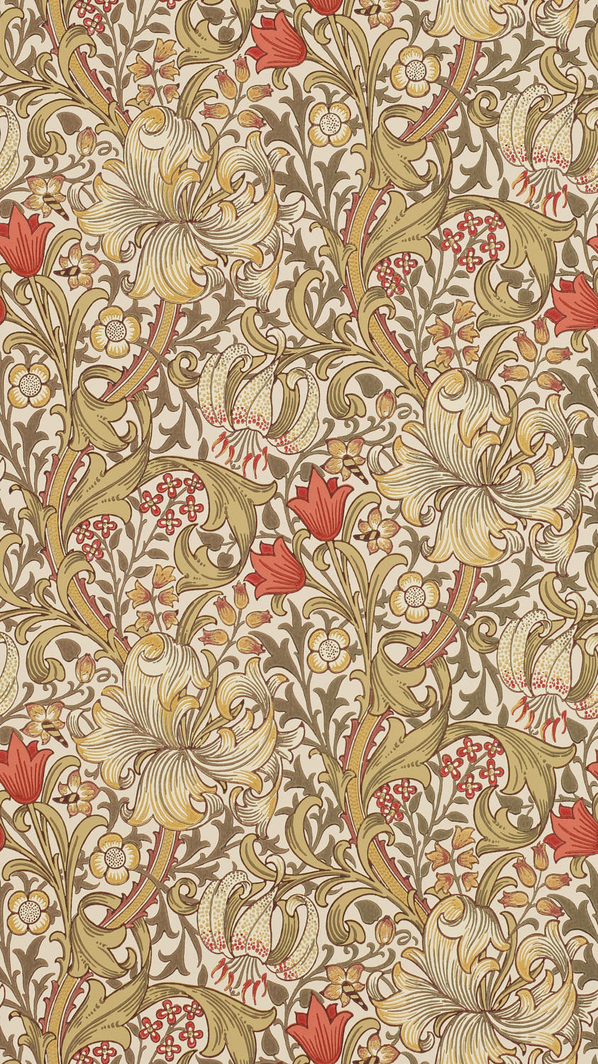 Golden Lily 216869