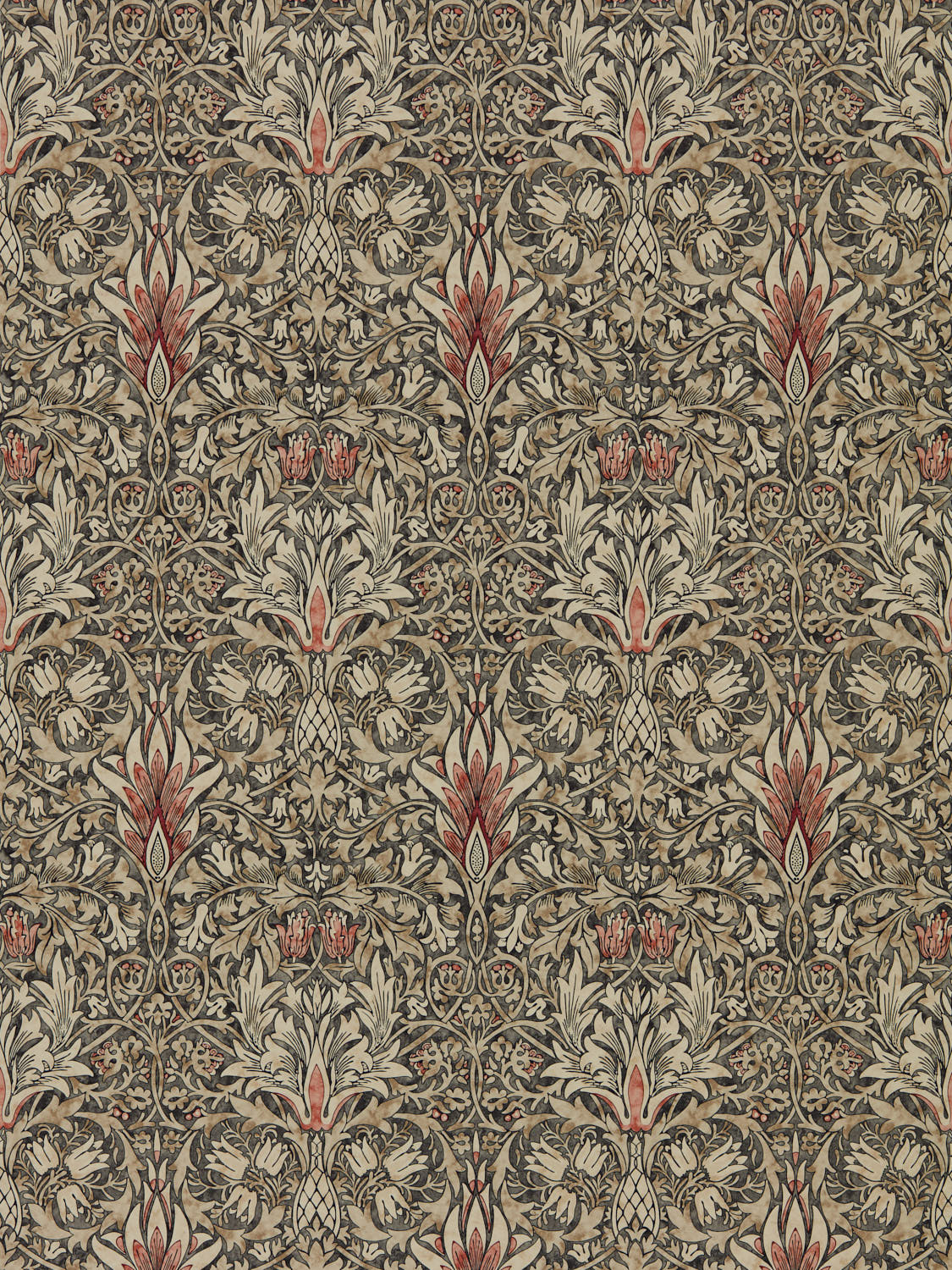 Snakeshead 216870
