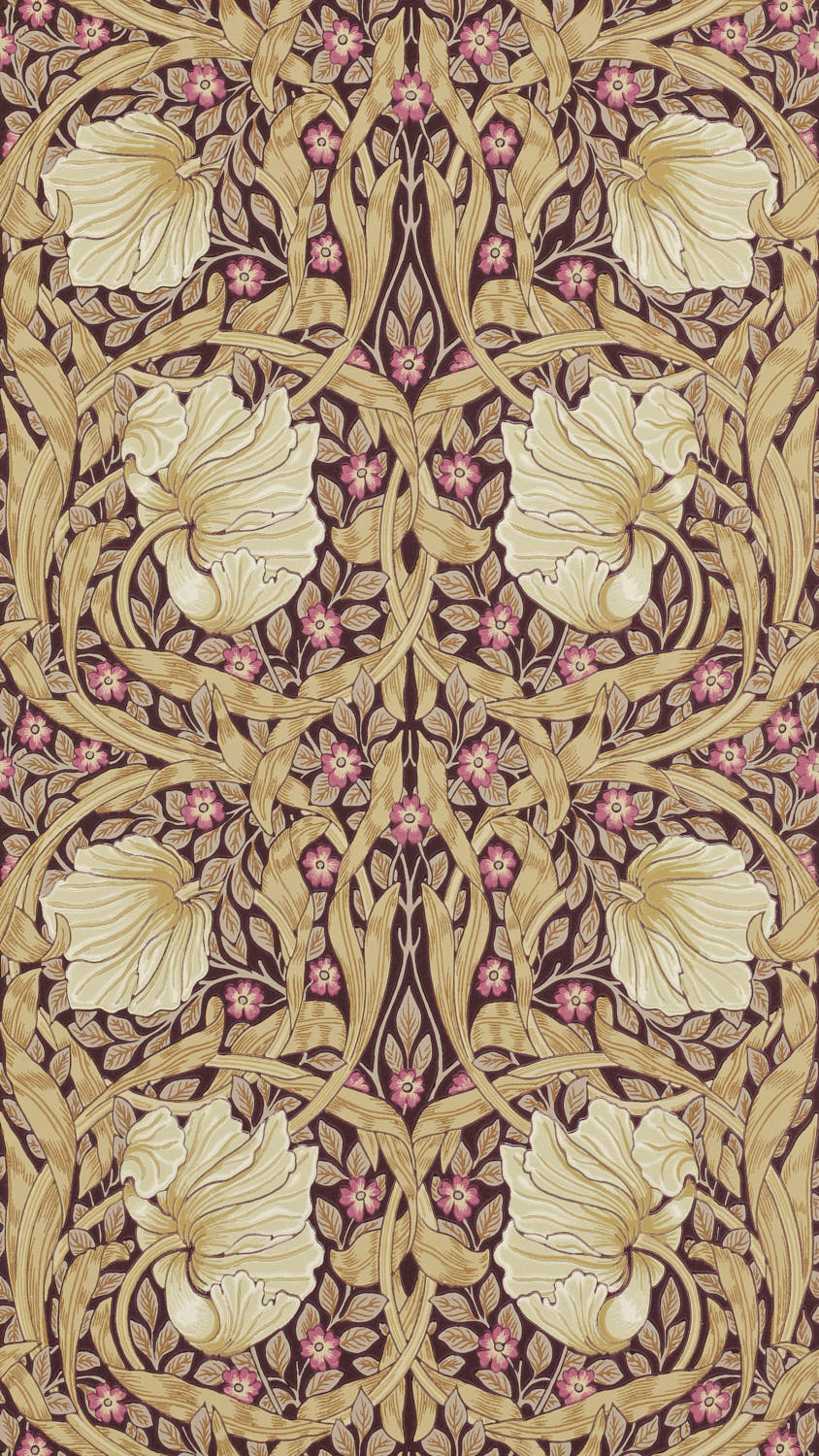 Pimpernel 210390