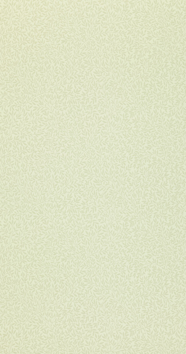 Standen DGW148101 (210462)