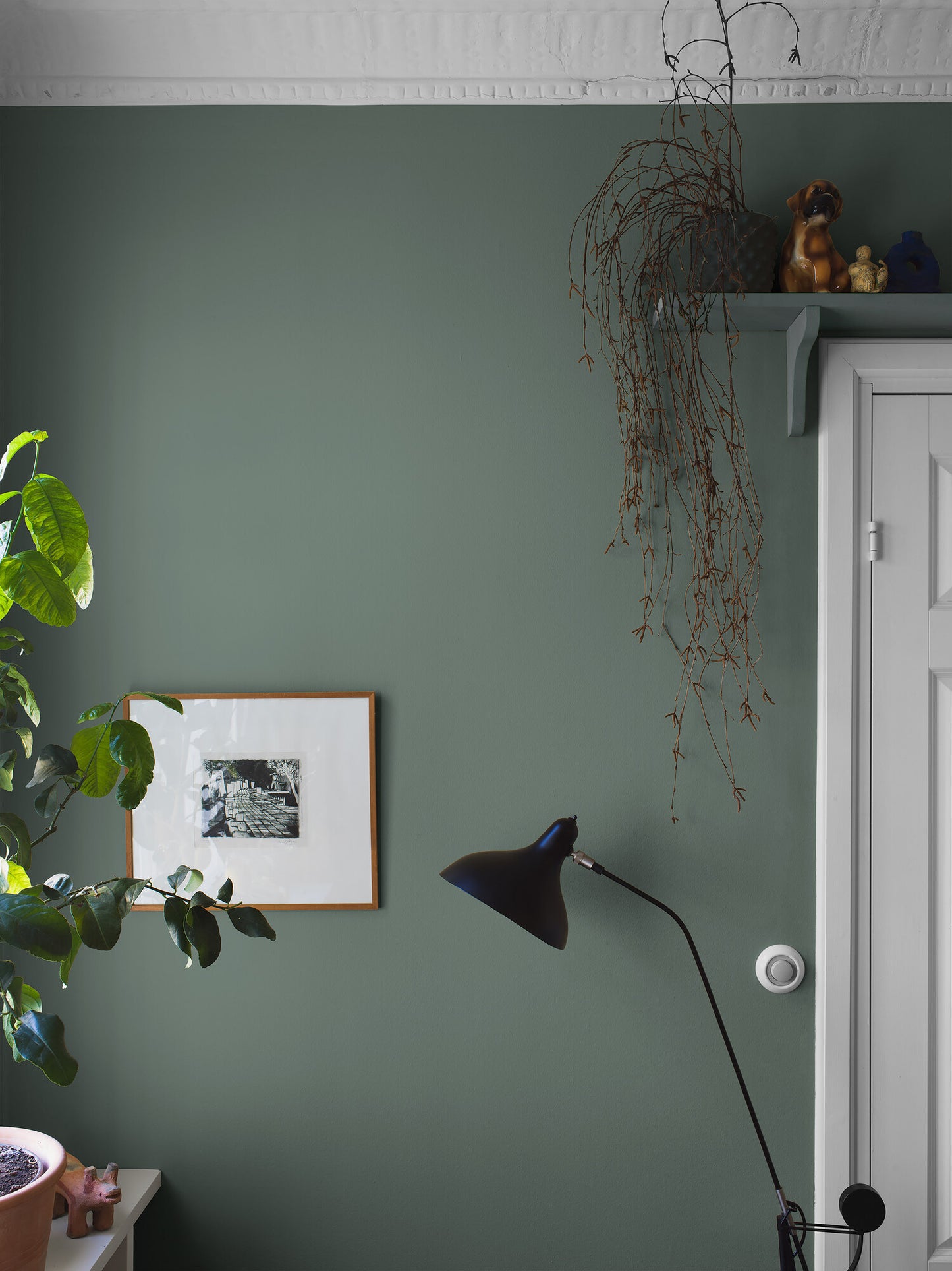 Dusk Green 7556