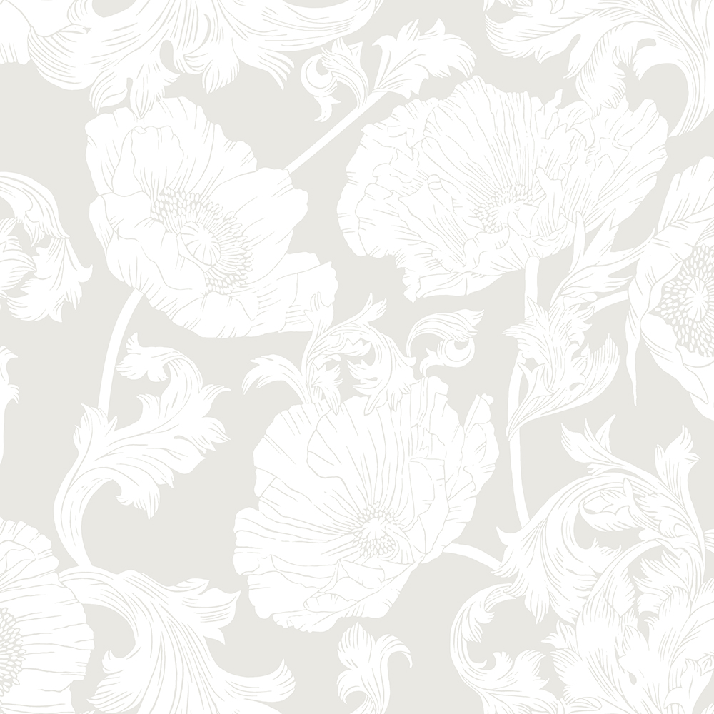 Papaver 14022