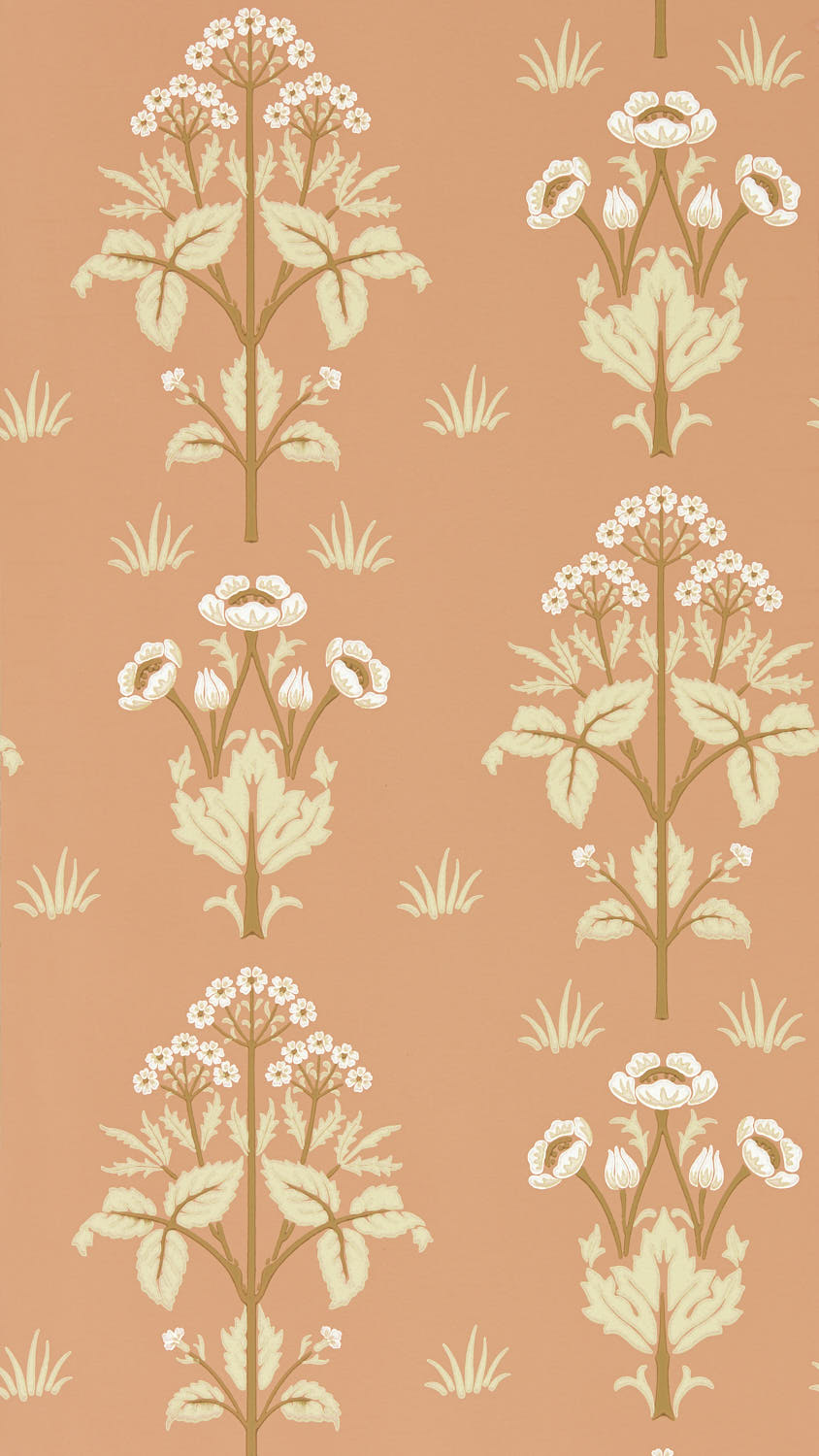 Meadow Sweet 217366