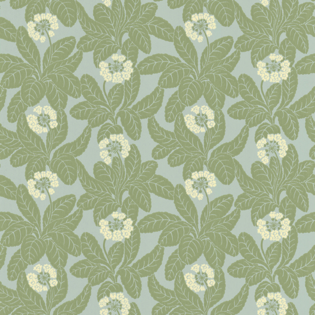 Primula 38-34