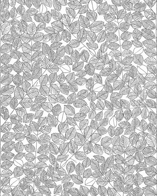 Viola Gråsten Romans 1766