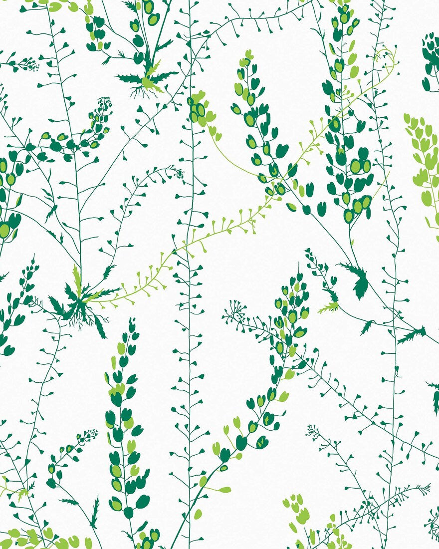 Arne Jacobsen Bladranker 1787