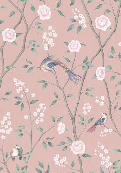Paradise Birds 1901
