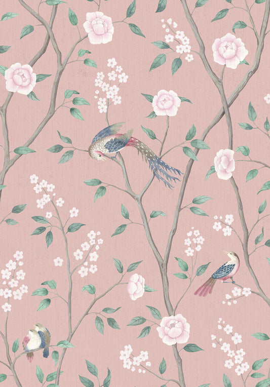 Paradise Birds 1901