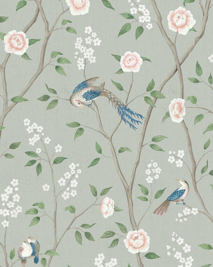 Paradise Birds 1903