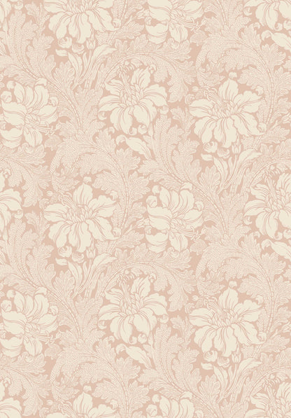 Acanthus 2009