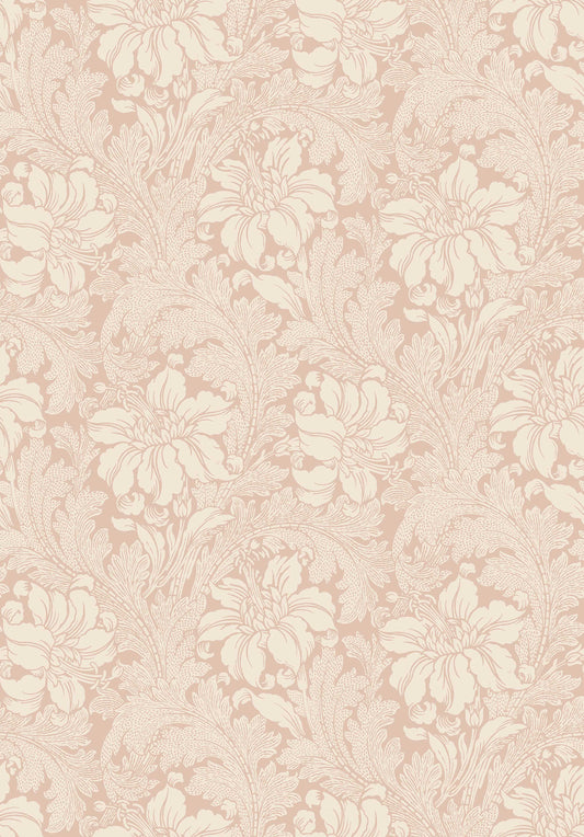 Acanthus 2009
