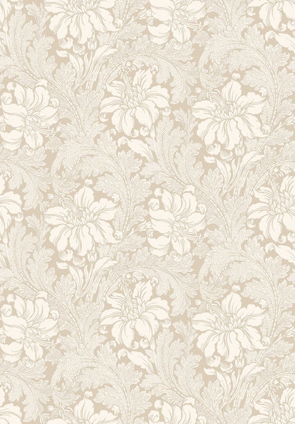 Acanthus 2011