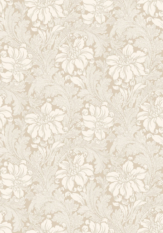 Acanthus 2011
