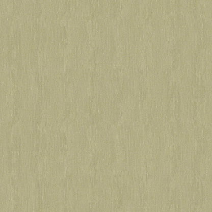 Fresh Olive 4348