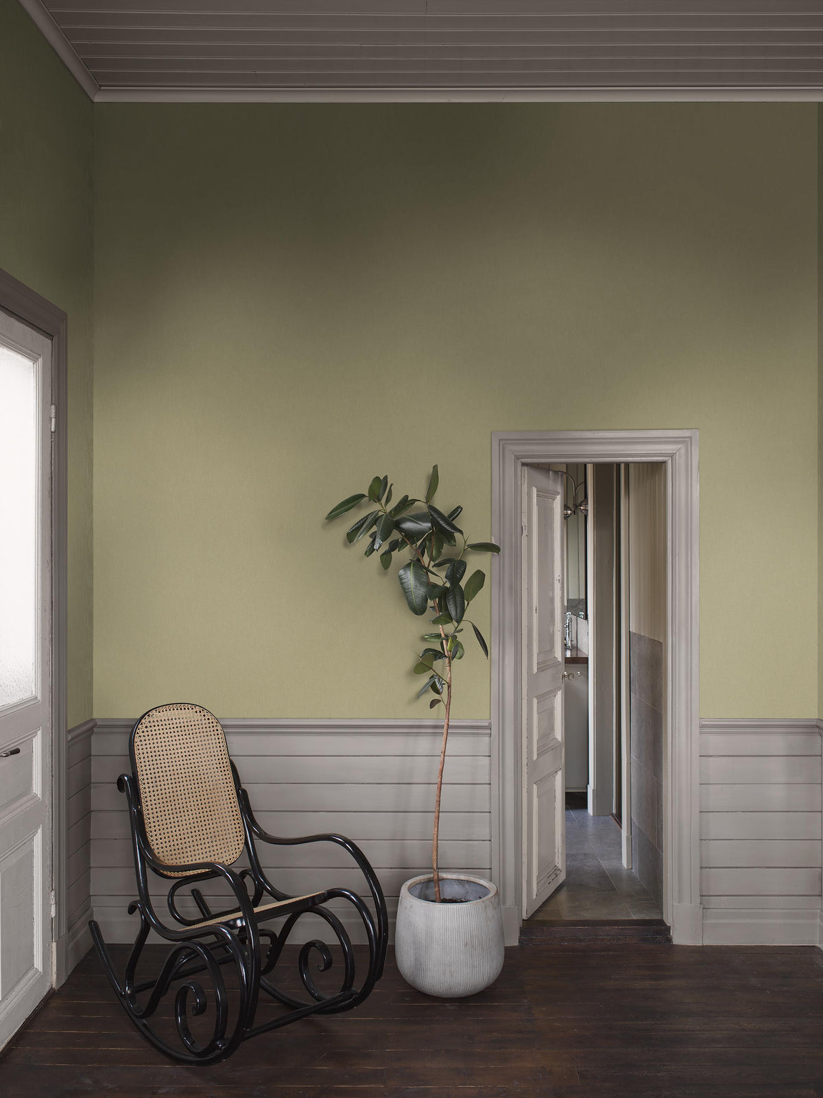 Fresh Olive 4348