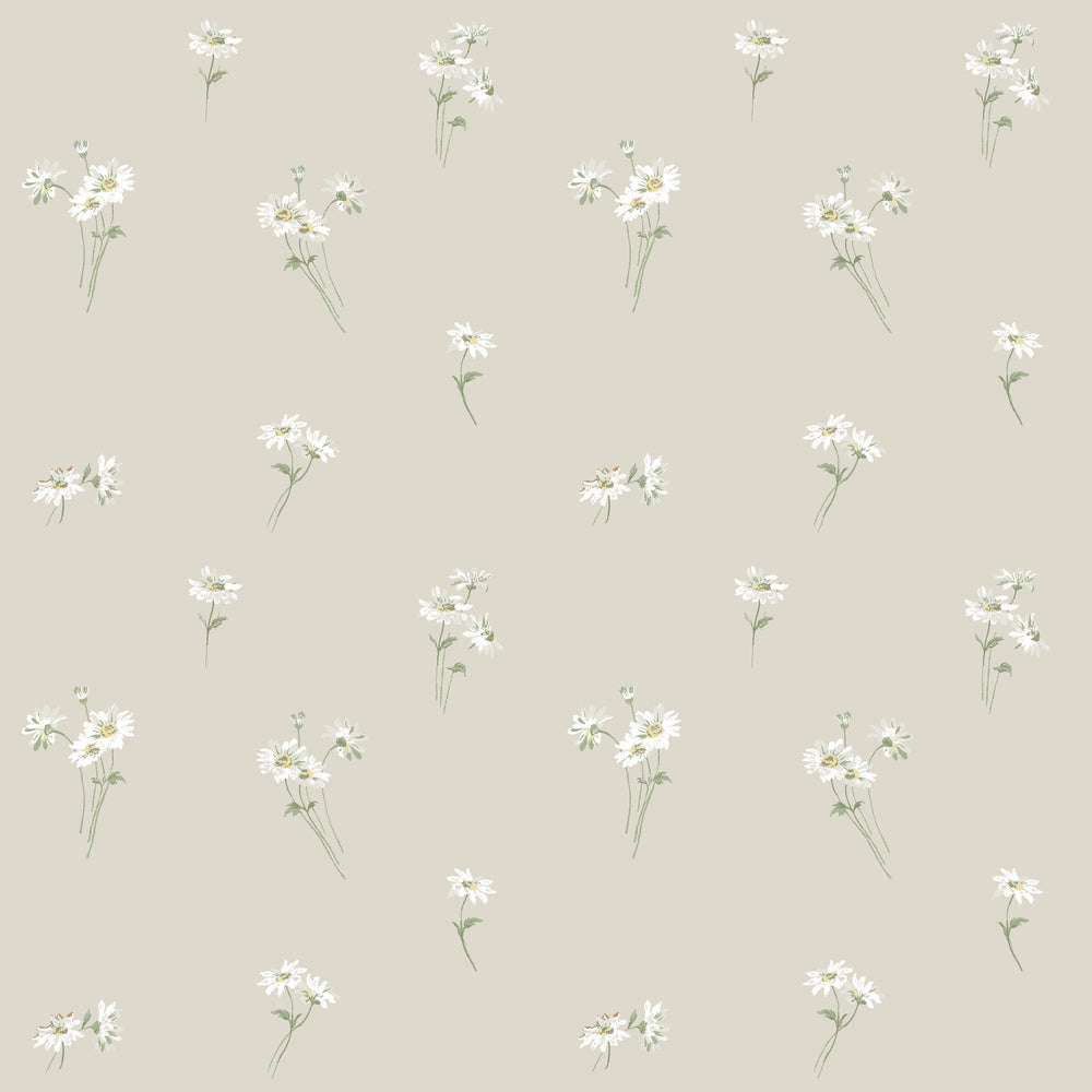 Daisy 53124