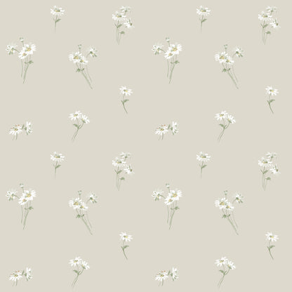 Daisy 53124
