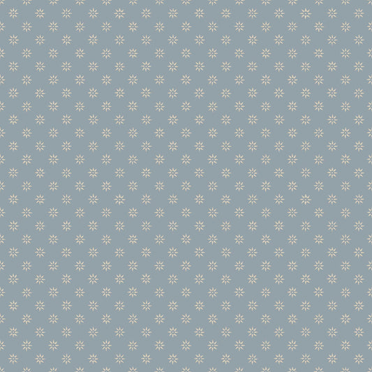 Skogsstjärna 5808