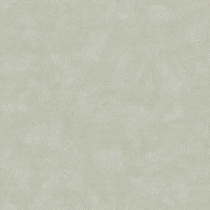 Shades Phonolite 6105